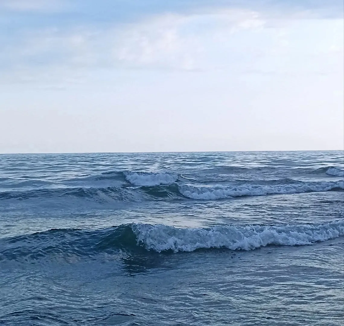 "Купаться невозможно, будете сидеть на берегу": Черное море преподнесло полноценно новый сюрприз отдыхающим