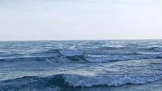 "Купаться невозможно, будете сидеть на берегу": Черное море преподнесло полноценно новый сюрприз отдыхающим