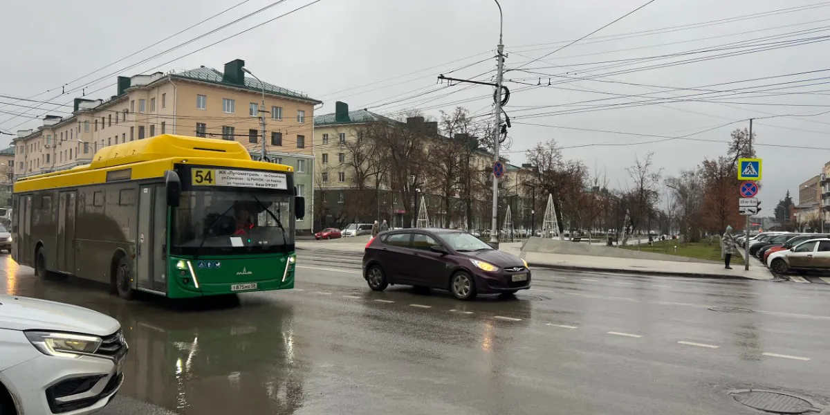 Пензенцы возмущены «качеством» дорожного покрытия в городе