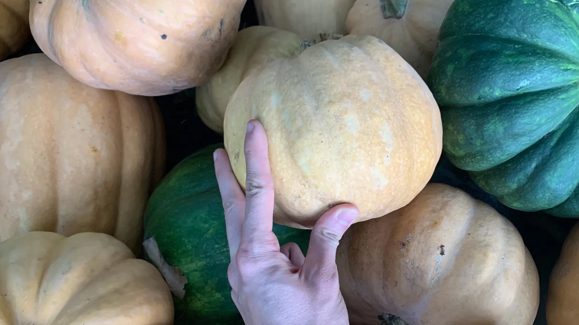 Пензенская область оказалась среди лидеров ПФО по низким ценам на продукты