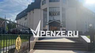 Пенсионерку из Пензы признали виновной в совершении 12 преступлений