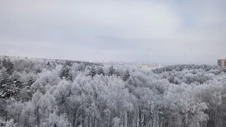 Лютые морозы и частые снегопады: синоптики назвали самый холодный и снежный месяц этой зимы
