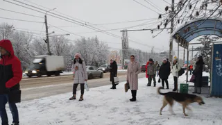 Из-за грубых водителей пензенцы начали пропускать свои остановки