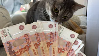 В 2025 году более 1600 жителей Пензенской области получили соцподдержку