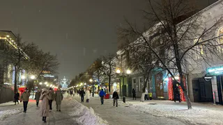Пензенцы просят сделать ул. Московскую вновь пешеходной