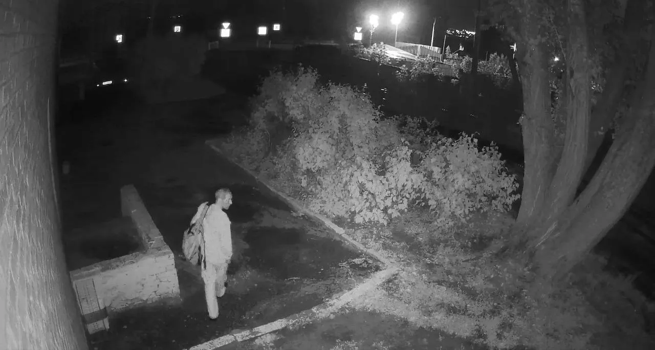 В Засечном мужчина пытался изнасиловать 28-летнюю девушку