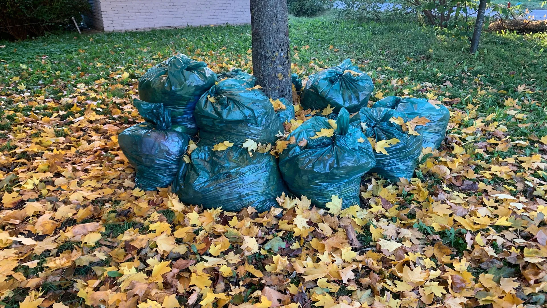 В Пензе прошел первый общегородской субботник