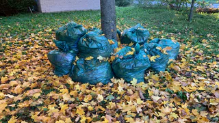 В Пензе прошел первый общегородской субботник