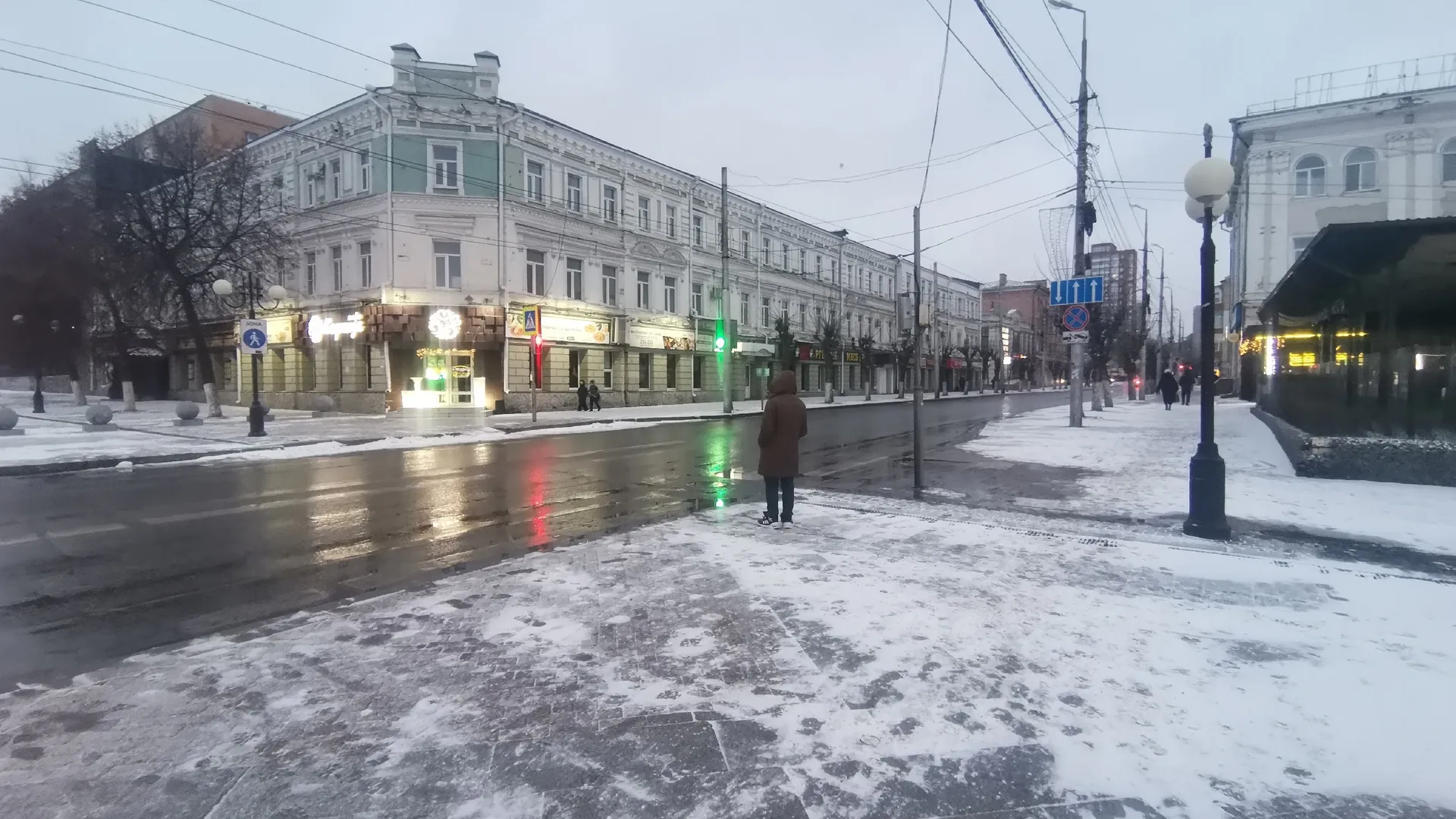Опасный участок дороги на ул. Московской, где током ударило собаку, проверят специалисты