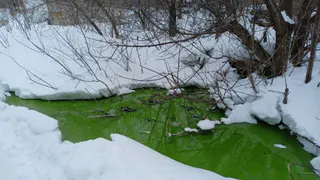 Зеленая жидкость возле жилых домов: комментарий от МУП "Водоканал" Кузнецка