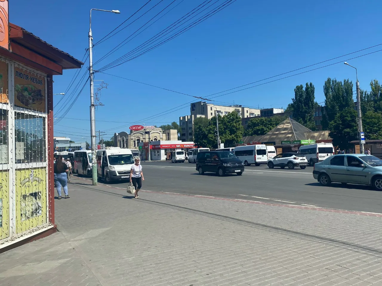 Пять пензенских точек общепита продавали шаурму и шашлык без ветеринарных документов