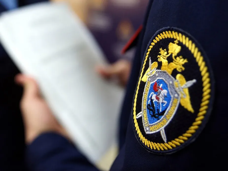 Известны подробности по делу экс-профессора кафедры журналистики ПГУ