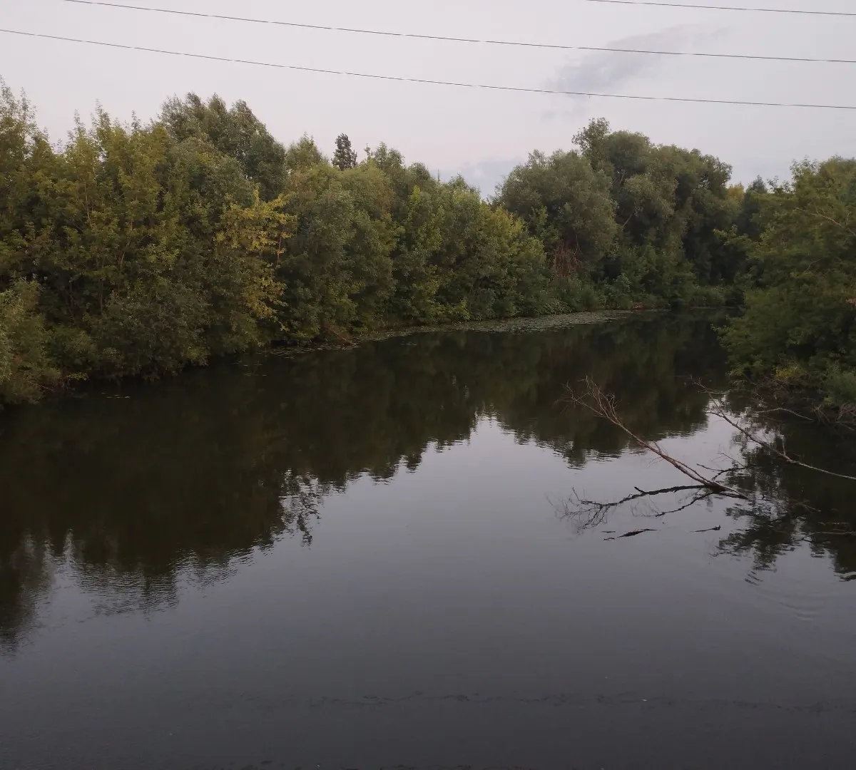 Уровень воды на Атмисе в Пензенской области превысил границы поймы