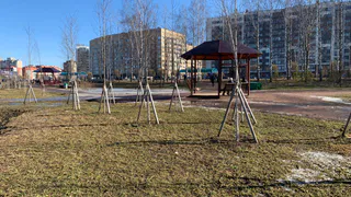 В Пензе в рамках общегородского субботника было высажено более 200 растений