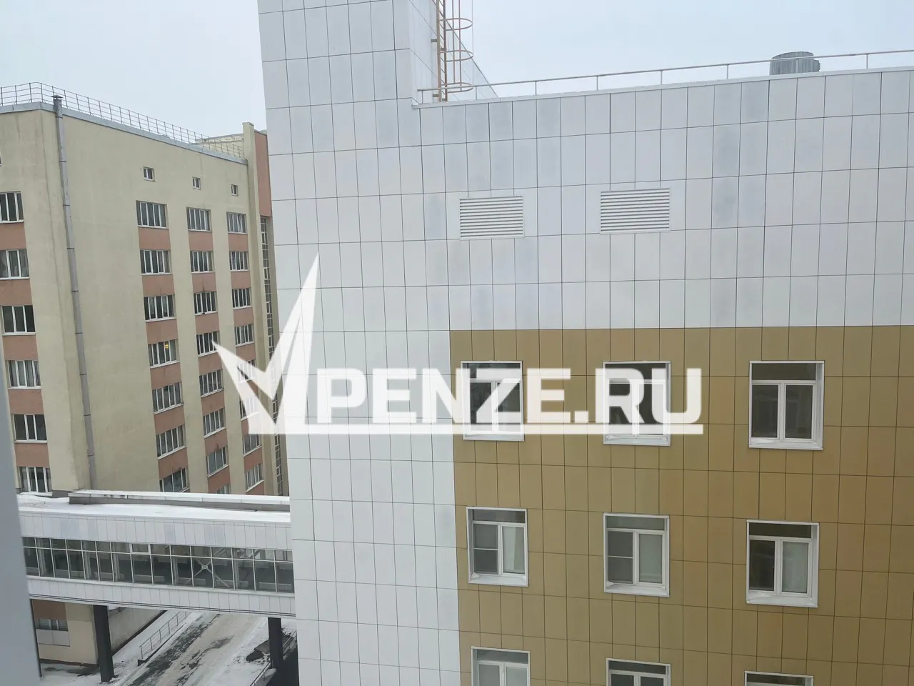 Порядка 30% пензенских супружеских пар оказались здоровы