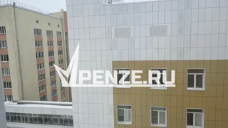 Порядка 30% пензенских супружеских пар оказались здоровы