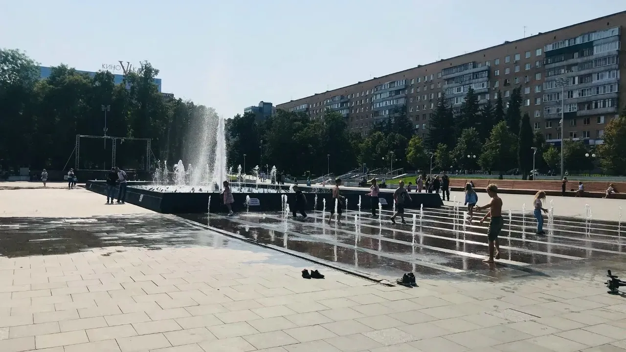 Россельхознадзор впервые прокомментировал судьбу изъятых в Пензе сов