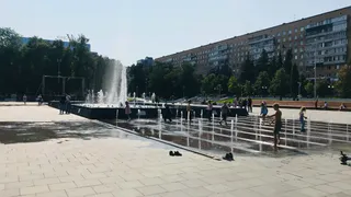 Россельхознадзор впервые прокомментировал судьбу изъятых в Пензе сов