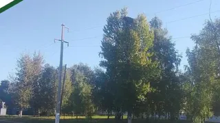 «Несмышлёныш» из Бекова: местные жители спасают белого аиста