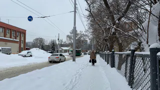 Метель и снежные заносы обрушатся на Пензу 1 февраля