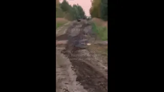 В Белинском районе Пензенской области заметили медведя