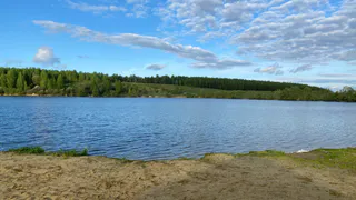 В Сурское водохранилище выпустят 10 тонн белого толстолобика