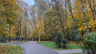 В Пензе с 1 ноября проходит месячник по благоустройству