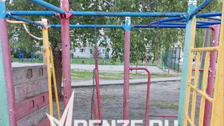 Со скрипом на одном гвозде: пензенец нашел самую опасную детскую площадку в Терновке