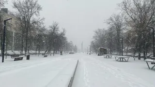 Такой весны в январе никогда ещё не было: Роман Вильфанд озвучил новый прогноз на конец месяца