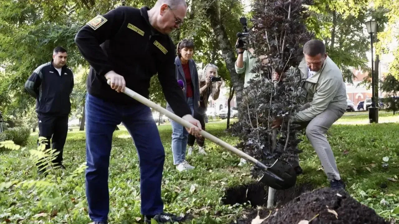 «Зелёная Пенза»: осенью в городе высадят ещё три тысячи деревьев