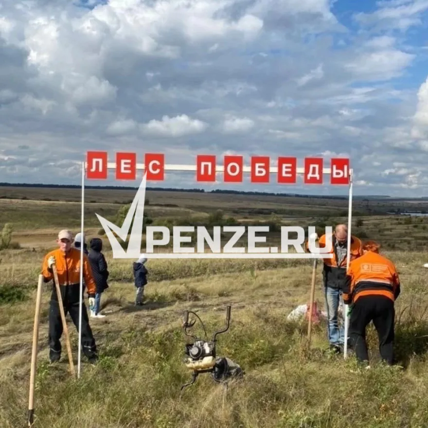 В память о павших воинах на Куликовом поле в Заре высадят саженцы дуба