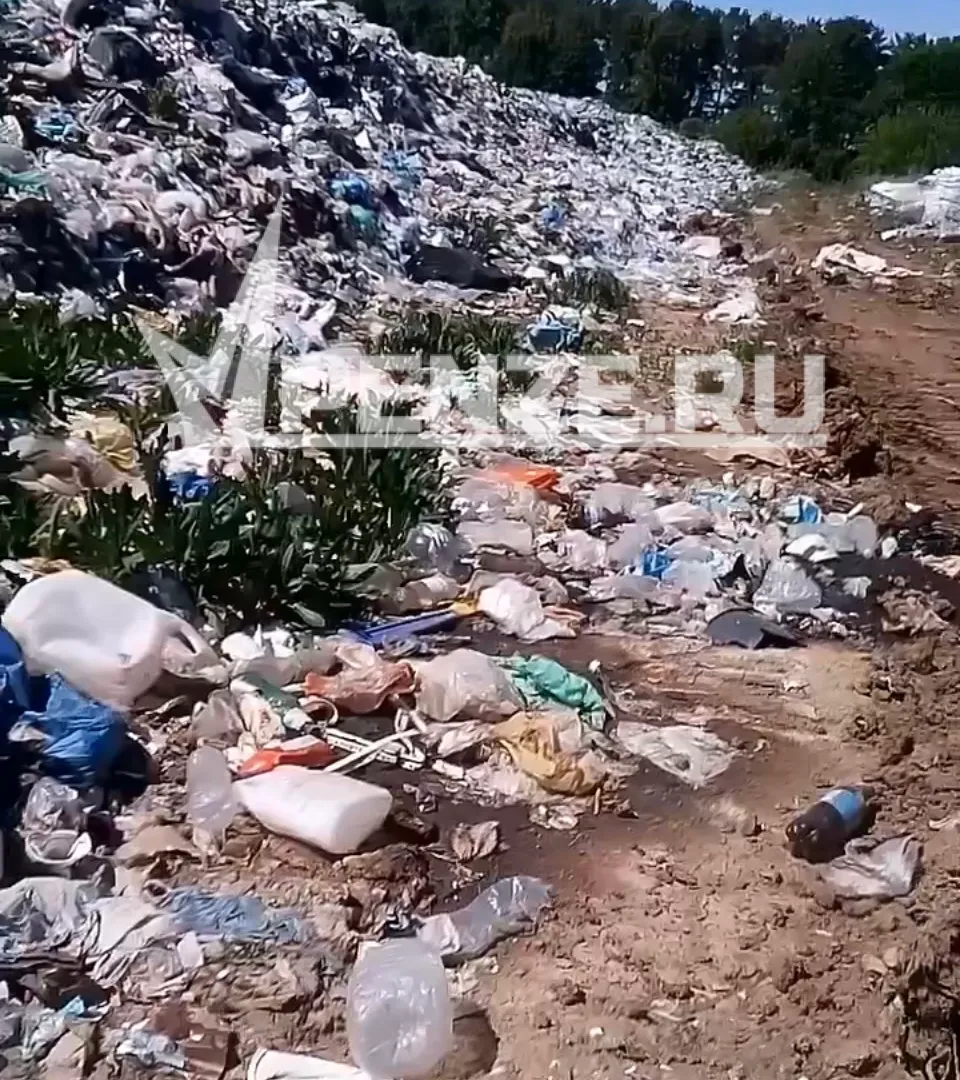 В Пачелмском сосновом бору организовали полигон отходов из пластика и покрышек