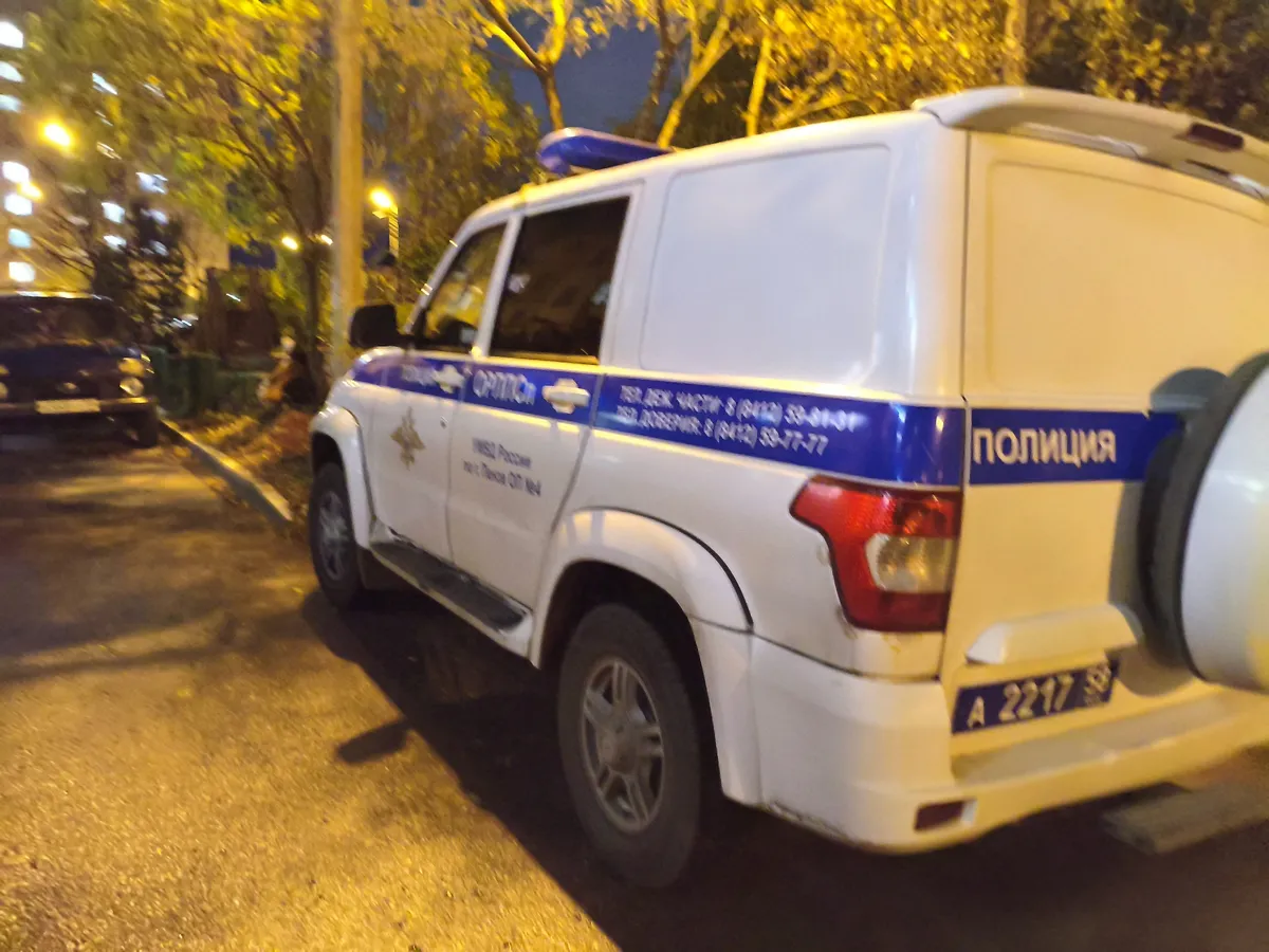 В Пензенской области снизилась преступность, но выросли наркопреступления