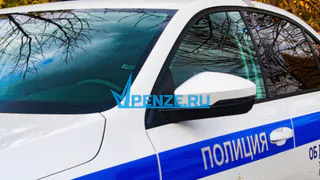 Детская безопасность на дорогах Пензенской области: горькая статистика и необходимость профилактики