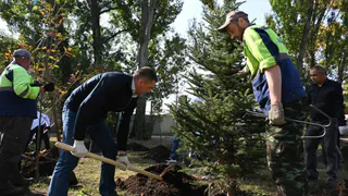 В Пензе у «полуторки» на Измайлова высадили ели, липы и рябины
