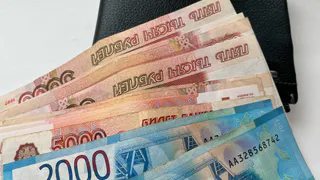 В Пензенской области сельские жители получают на 14% меньше горожан