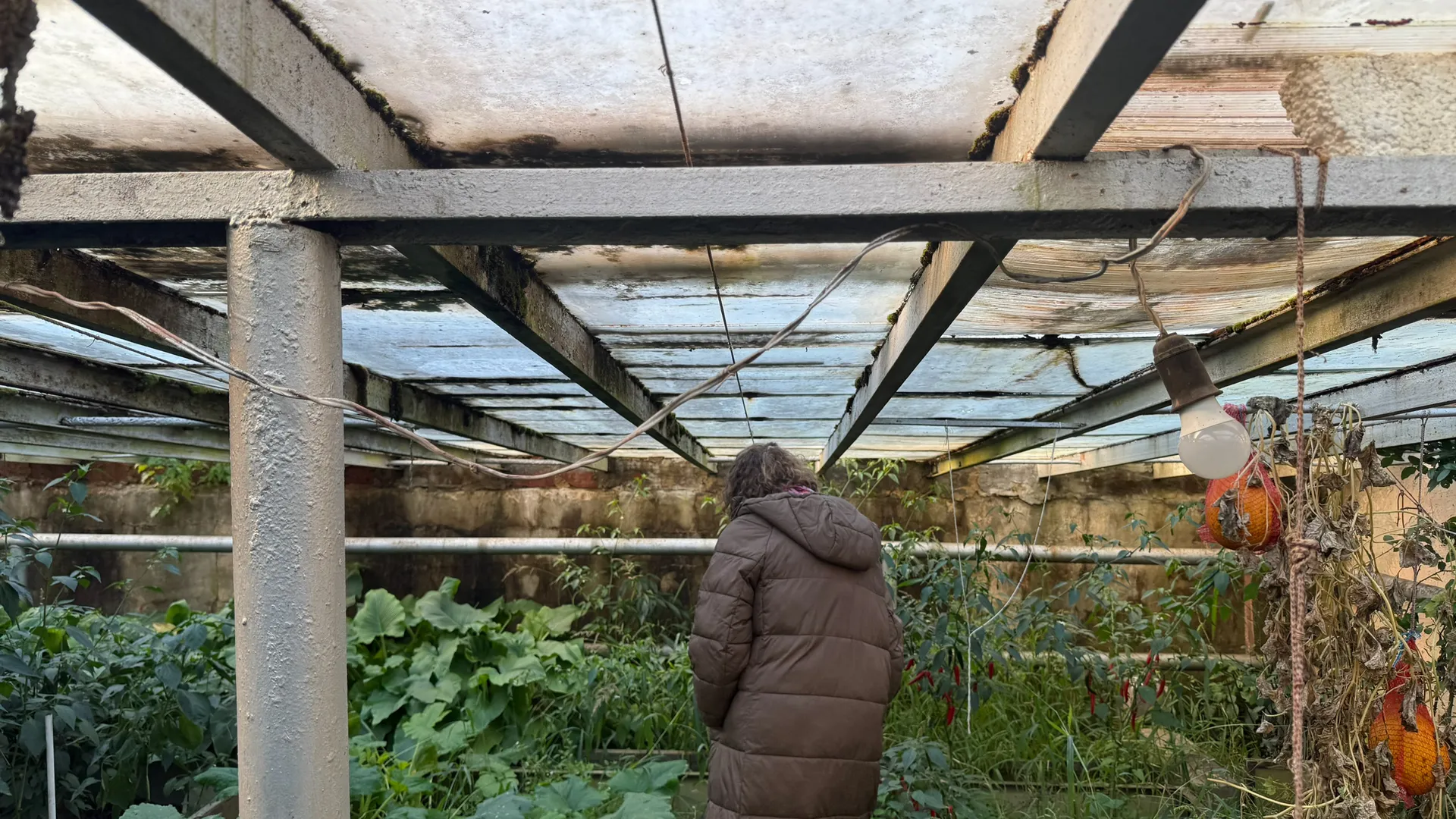 Закрыл осеннюю теплицу по правилам. Эти 5 ошибок оставят вас без урожая в следующем году