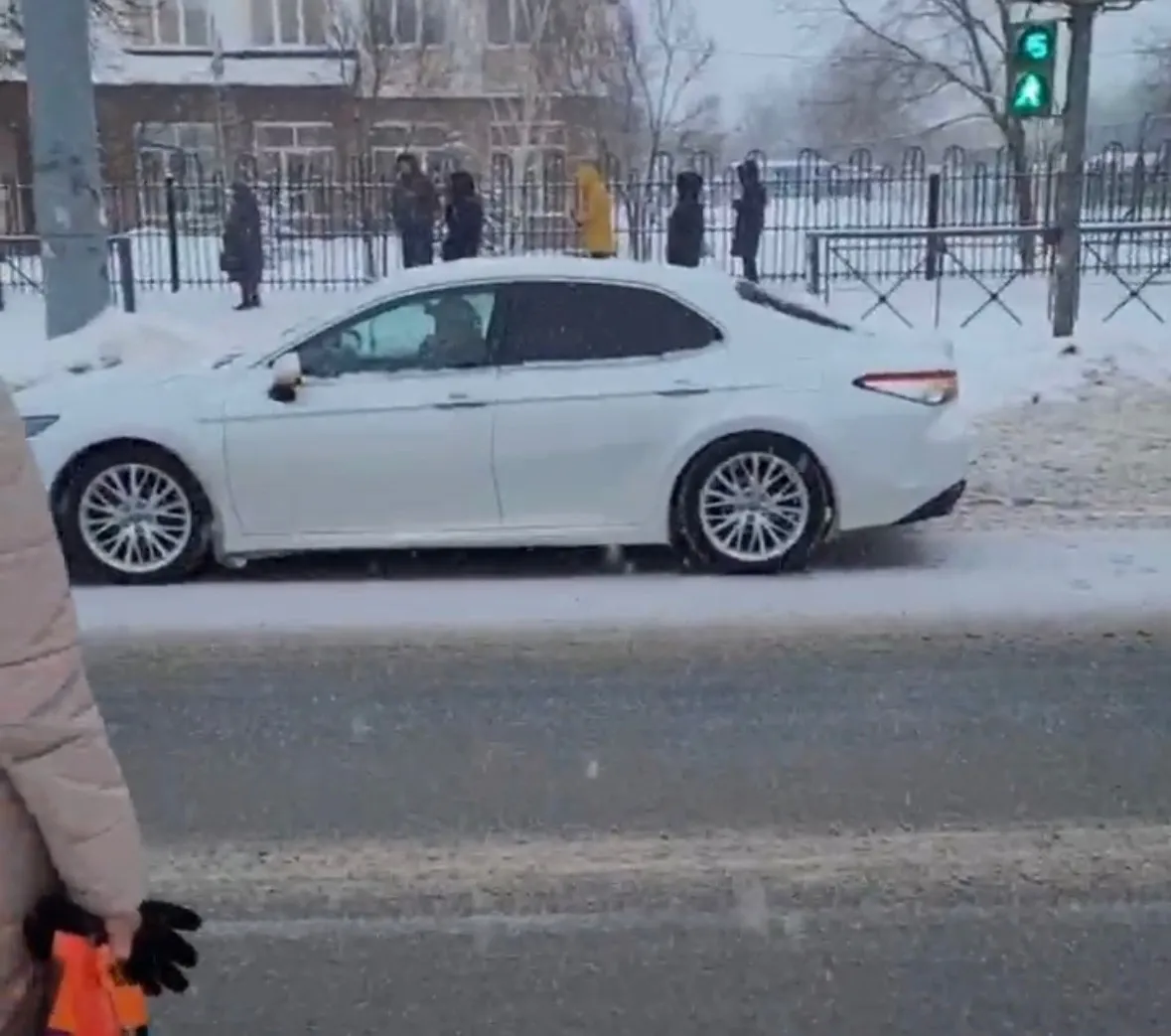 В Пензе стая собак перешла дорогу по правилам