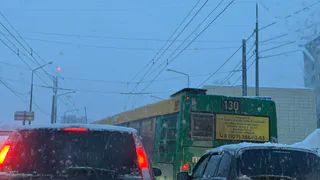 В Лопатинском районе после вмешательства прокуратуры расчистили дорогу к Белогорью