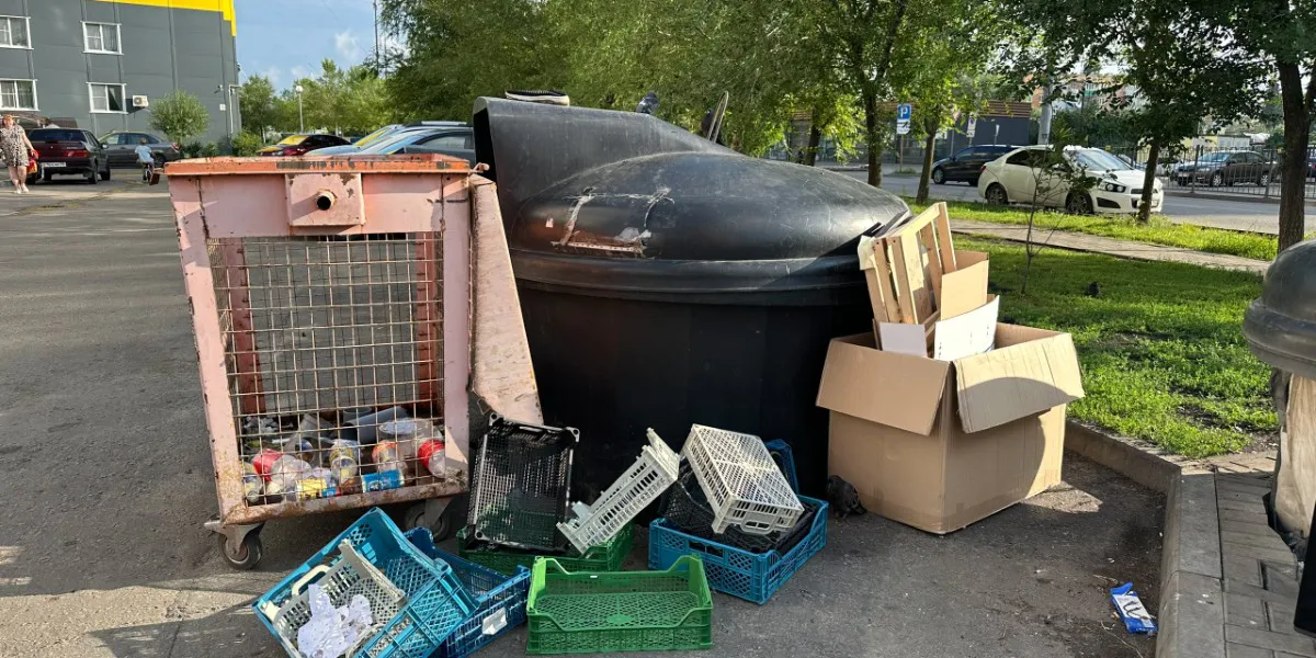 Пензенцы опасаются появления вредителей из-за забитых мусором баков
