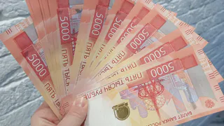 В Пензенской области назвали самые высокооплачиваемые отрасли за январь–апрель