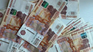 В Пензенской области осудили участников организованной группы за незаконную банковскую деятельность