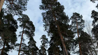 Власти Пензы напомнили о подвиге 300 тысяч земляков в День Скорби