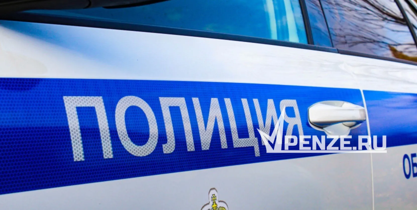 В Мокшанском районе сбили лося: животное погибло
