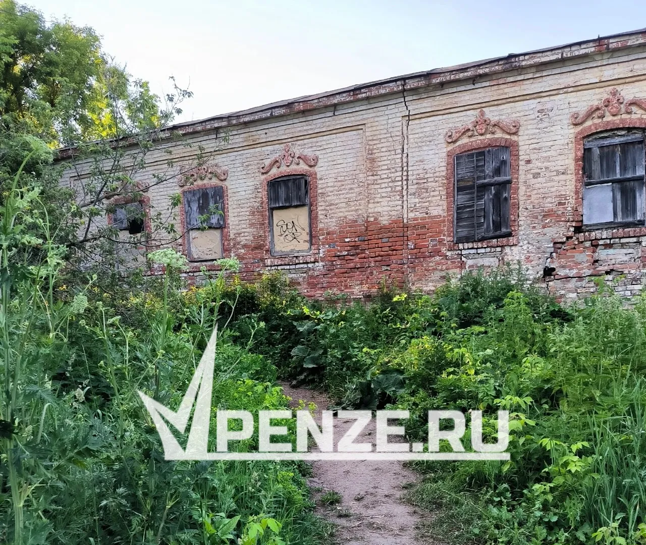 «Уберите борщевик!» Жители Сердобска жалуются на заросли опасного растения у местного пляжа и воду с черным илом