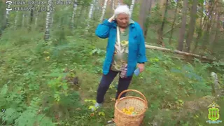 «Стучала палкой, чтобы её нашли»: пензенские полицейские спасли 80-летнюю грибницу