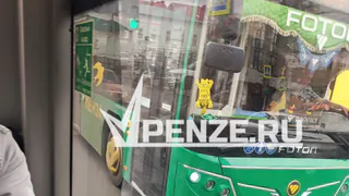 «Хотите детям психику испортить?»: пензячка пожаловалась на плюшевых котов в общественном транспорте
