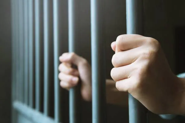 18-летний житель Пензы отправитсяна на 8 лет в колонию за жестокое избиение прохожего