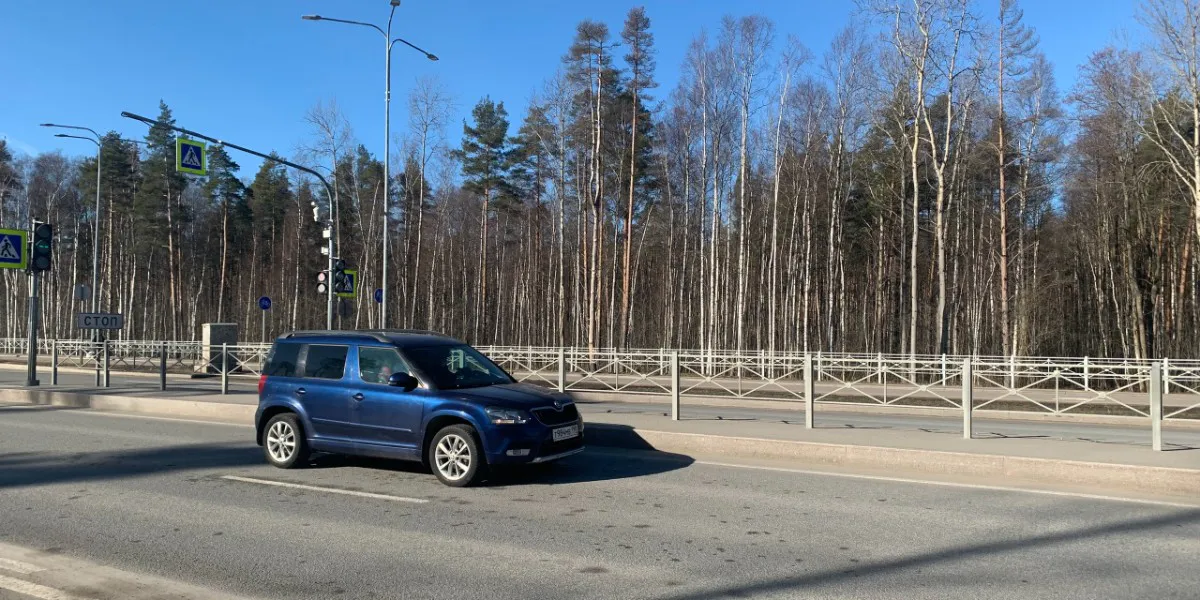 Пензенцы боятся за свой транспорт во время поездок на автодорогах