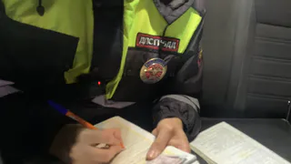С 26 января тех, кто за рулём, на дороге ждёт большой сюрприз: автоинспекторы будут искать один тип водителей